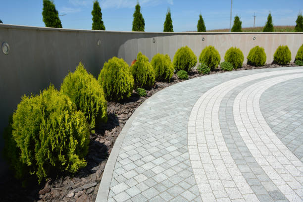 Best Brick Driveway Pavers  in Murphy, TX
